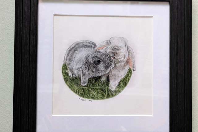 Two rabbits enjoying a spot on the grass