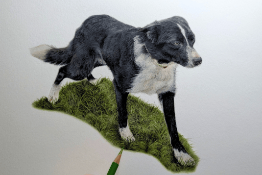 A sheepdog posed on the grass.