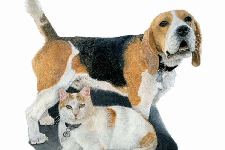 A joint portrait of a dog and cat by Charlotte.