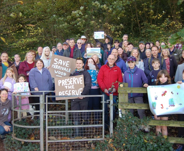 Merrivale Woods crowdfunding scheme fails - but all is not lost