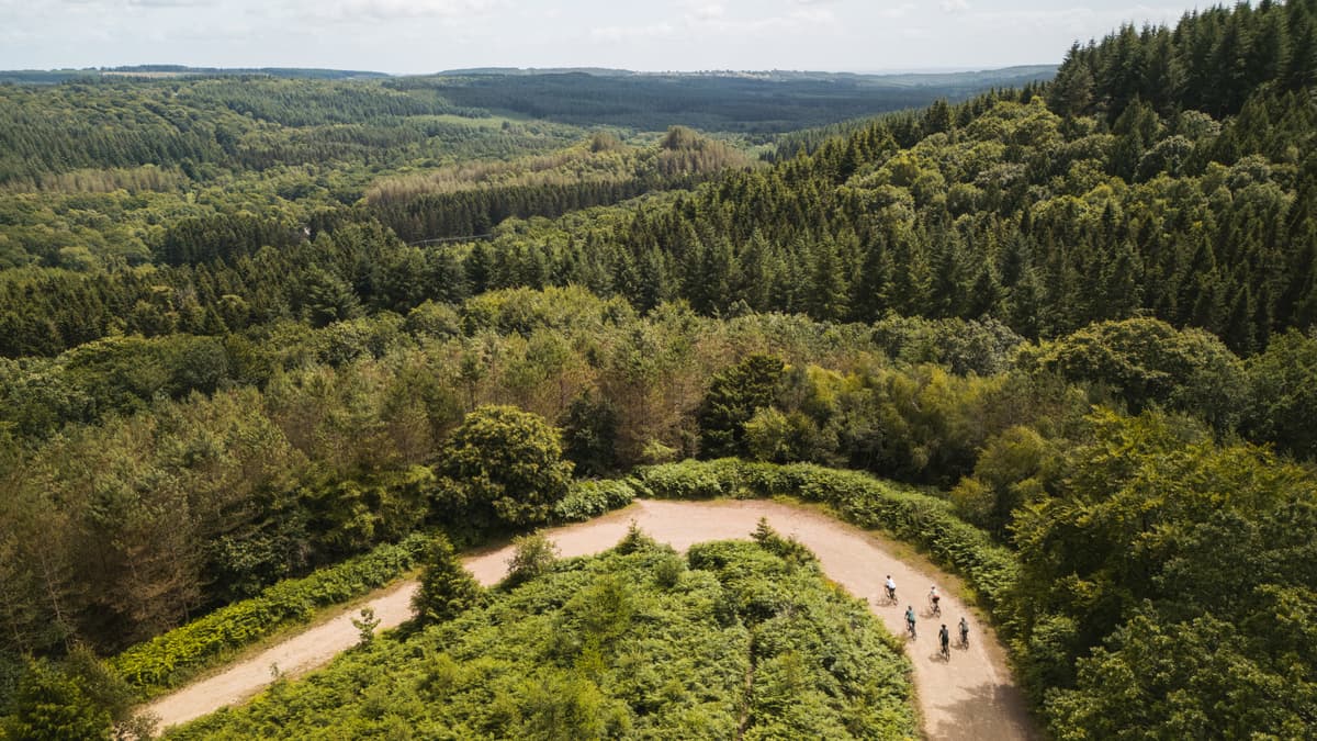 Forest of Dean sites win at tourism awards