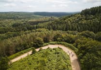 Forest of Dean sites shine with awards!