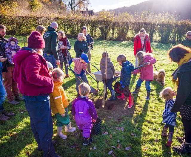 Sycamore Gap sapling planted at Biblins