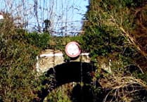 Call to reopen historic Hereford-Ross railway