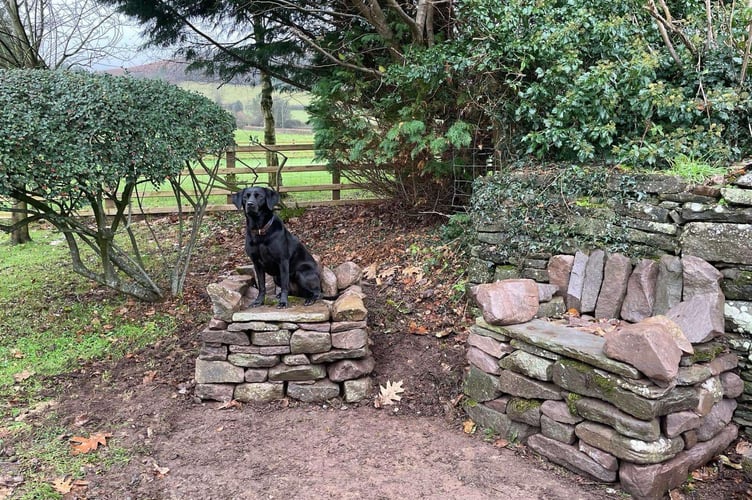 Dry stone wall chairs