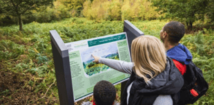 Food for thought as MCC leaders have no view on beauty spot snack vans