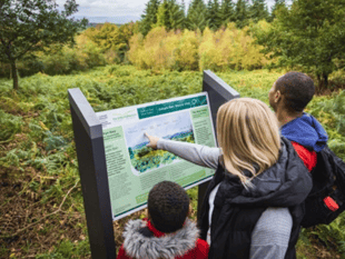 Beacon woodland burger van bid given short shrift