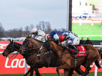 It's Harry's game as Djelo finishes fifth in Kempton classic