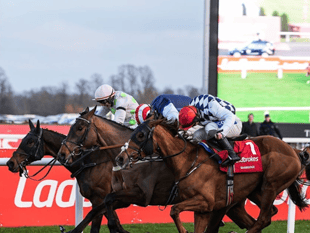 It's Harry's game as Djelo finishes fifth in Kempton classic