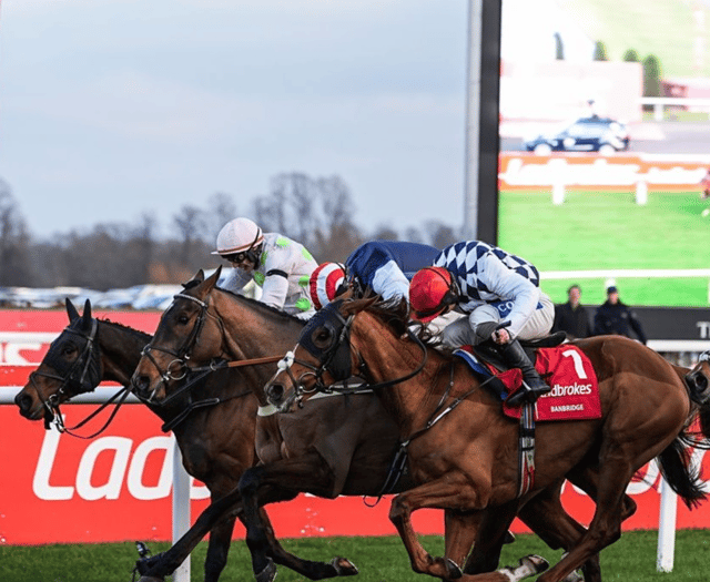 It's Harry's game as Djelo finishes fifth in Kempton classic