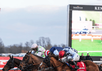 It's Harry's game as Djelo finishes fifth in Kempton classic