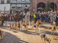 Harriers' Boxing Day Drag Hunt draws thousands of supporters