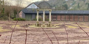 Hopes that hedge maze can be replanted in time for 50th anniversary  
