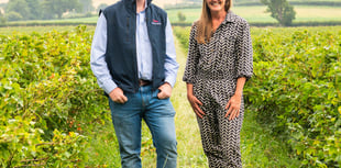 Award-winning farm stars in new yogurt video