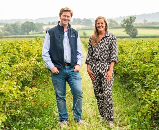 Award-winning farm stars in new yogurt video