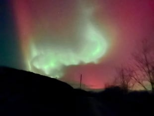 Stargazers' treat as Aurora Borealis lights up night sky 