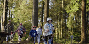 Room on the Broom trail in Forest of Dean