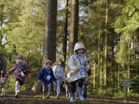 Room on the Broom trail in Forest of Dean