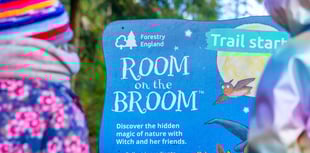 Family adventures await in the Forest of Dean