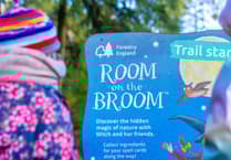 Family adventures await in the Forest of Dean