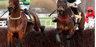 L'Homme Presse impresses again with close second in Cotswold Chase