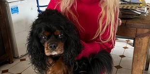 Dean woman pays £65 for lost dog