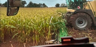 Wye Valley farmer faces crisis as extreme weather hits crops