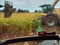 Wye Valley farmer faces crisis as extreme weather hits crops