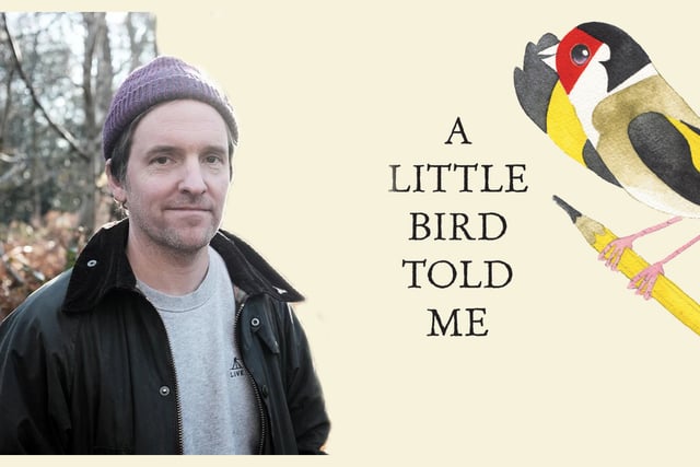 Meet Matt Sewell: The Banksy of the Bird World