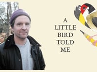 Meet Matt Sewell: The Banksy of the Bird World
