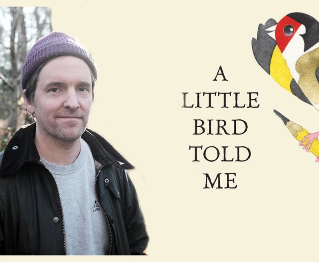 Meet Matt Sewell: The Banksy of the Bird World