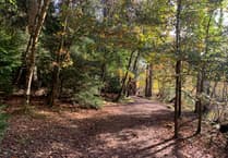 Fears Forest of Dean's biosphere status could make it a "theme park"