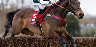 Grand National winner Venetia bids for Festival success 
