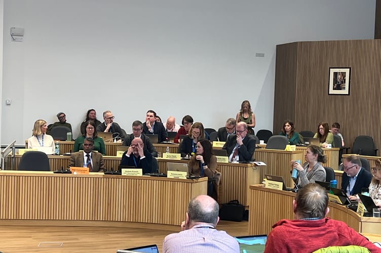 The meeting of the Health Overview and Scrutiny Committee.