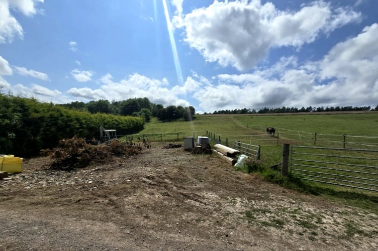 The site of the proposed stables in Wigpool near Drybrook.