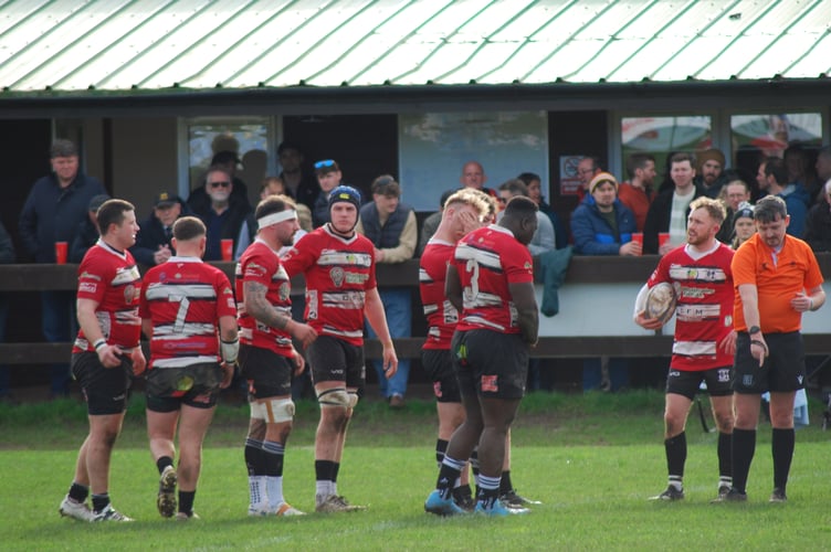 Max Turner made his debut as scrum-half for Lydney. Picture: Roger Pike.