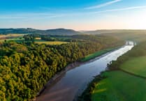Forest of Dean's bold river charter