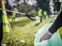 Join the Spring Clean in The Forest of Dean