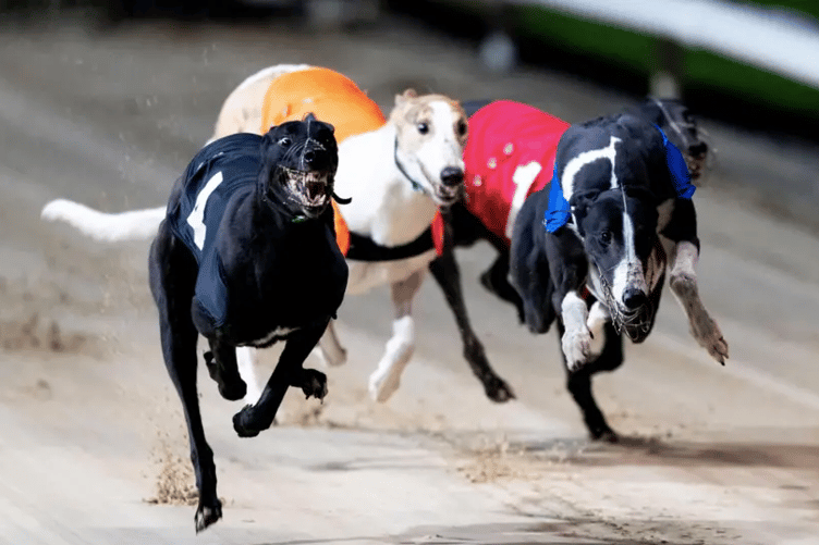 Greyhound racing is set to be outlawed in Wales following a Senedd vote, with the sport due to be phased out in the coming years.