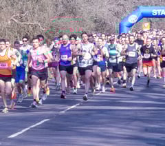 Perfect conditions for half marathon