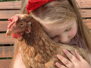 Could you save a hen by offering her a new home this Easter?