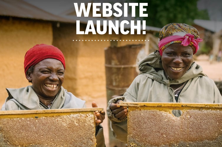 A glimpse at their new website