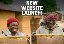 Bee charity launches new website to inspire and share