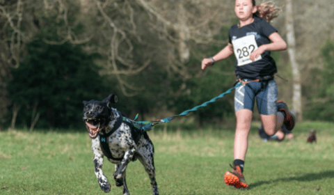 Silver for Daisy and Wiz