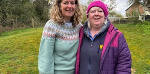 Berry Hill Community Orchard celebrates 10 years