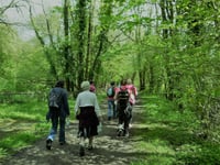 Travertine Dams of Slade Brook walk



