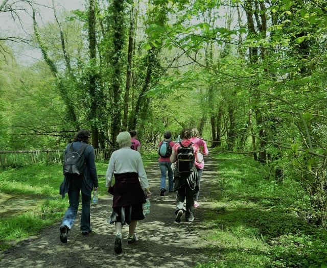 Travertine Dams of Slade Brook walk



