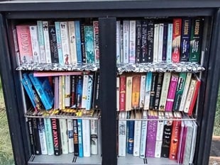 Is this the smallest library in Monmouthshire? 