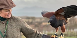 Stars continue to shine for Tintern heritage project.