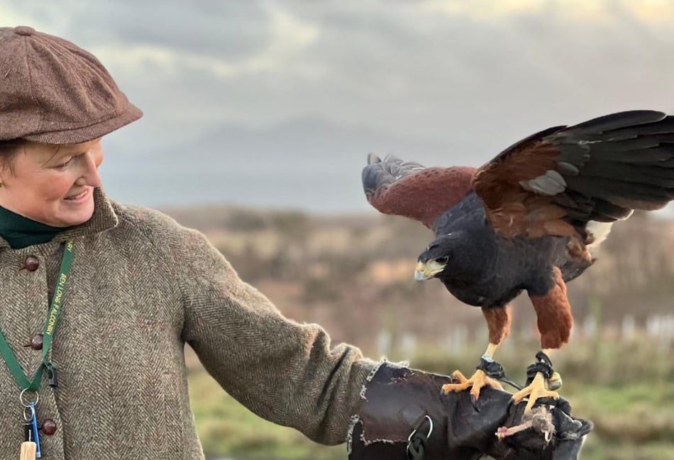 Stars continue to shine for Tintern heritage project.